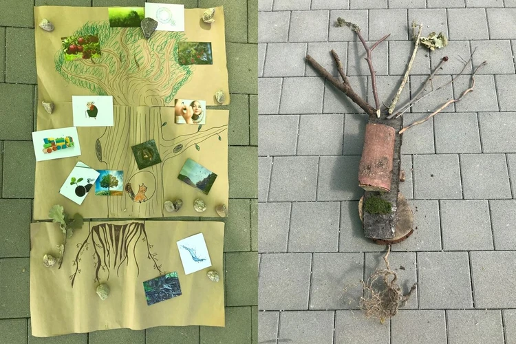 Auf zwei ausgebreiteten T&uuml;chern liegen Naturmaterialien und Bilder, die den Aufbau eines Baumes von der Wurzel bis zur Krone darstellen.